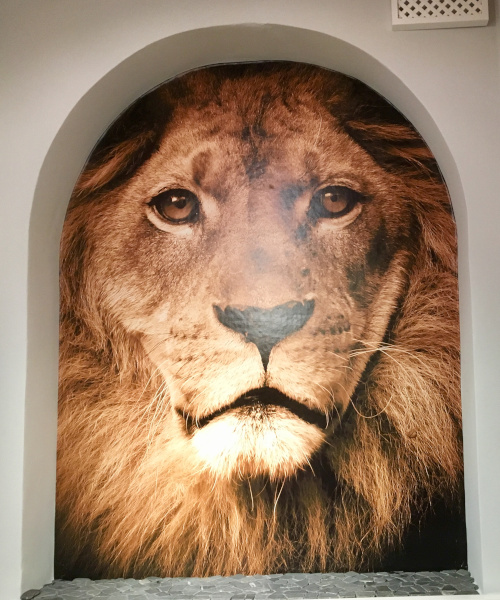 Tapezierarbeiten_in_Düsseldorf